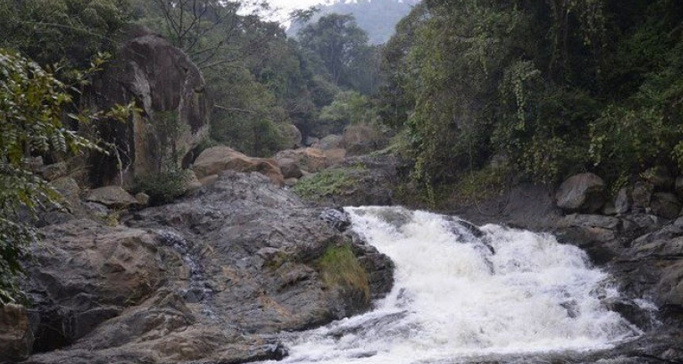 puliyancholai-waterfalls