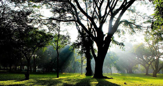 cubbon-park